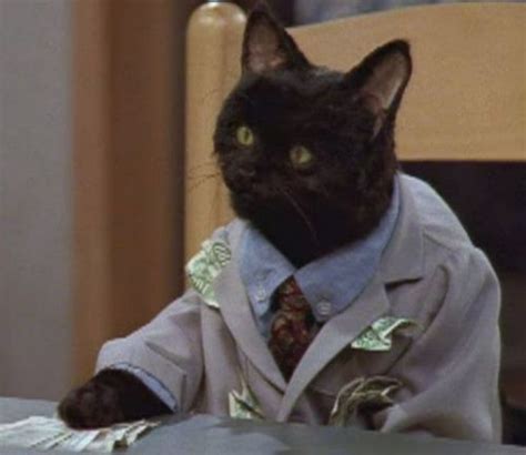 47 Reasons Salem From Sabrina The Teenage Witch Is Your Spirit Animal