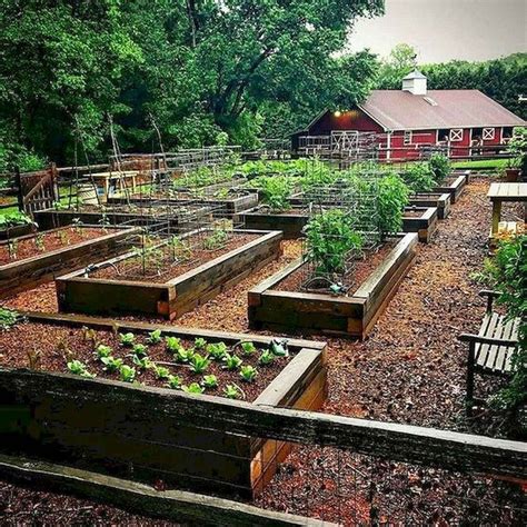 How To Harness Nature S Harvest With A Backyard Raised Bed Vegetable