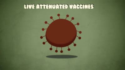 Vaccines also work on a community level. How do vaccines work? - Kelwalin Dhanasarnsombut on Make a GIF