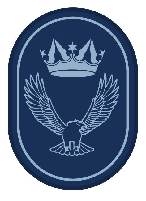 Cadet Insignia Air Cadet 101