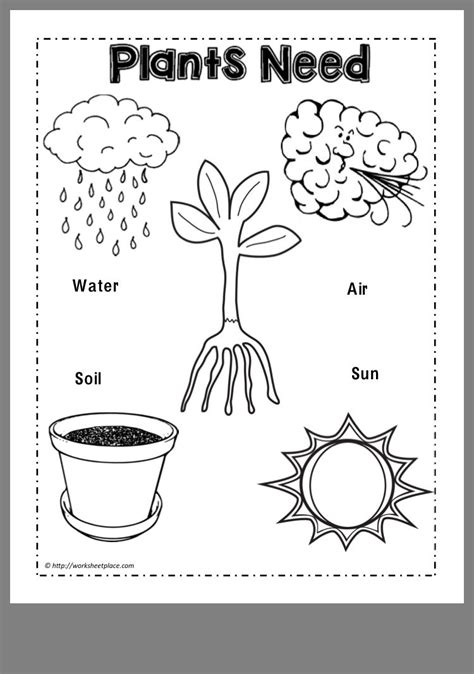 Planting Seeds Activities For Preschoolers