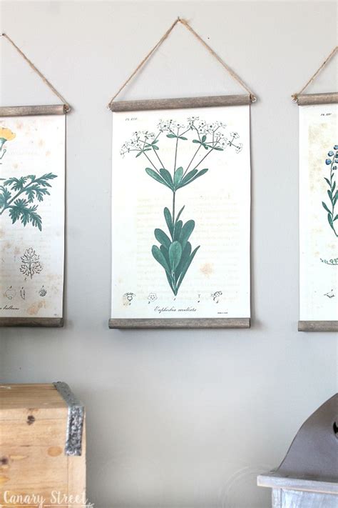 Diy Botanical Print Wall Hanging Canary Street Crafts