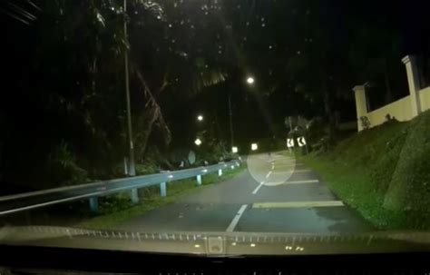 Driver Spots Freaky Ghost Shape Sitting In Middle Of Road Thats Life