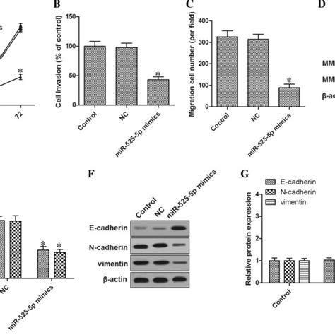 effects of mir 525 5p on proliferation invasion and emt in cc cells download scientific