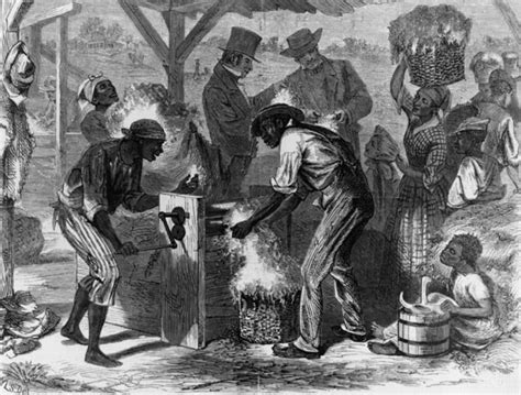 The Role Cotton Played In The 1800s Economy African American History