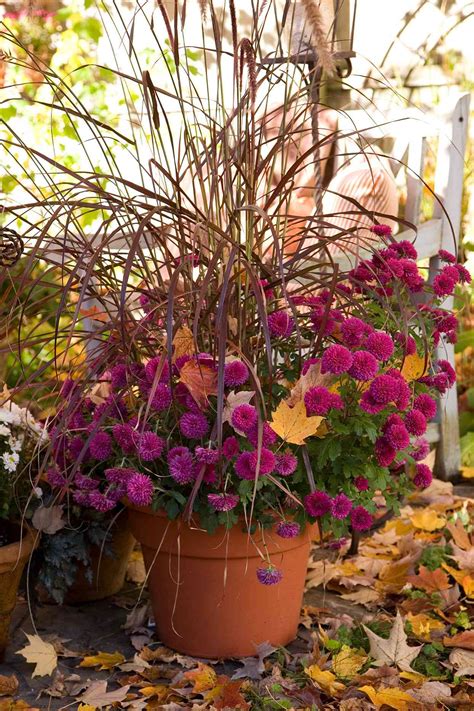 31 Fall Container Garden Ideas Better Homes And Gardens