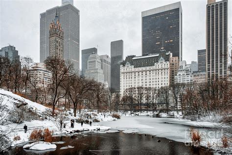 Winter Morning Snow Storm Hits Central Park New York City Photograph By