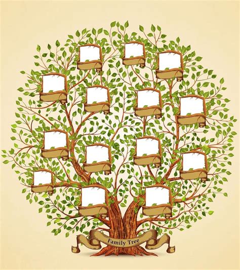 Familytree.com is a genealogy, ancestry, and family tree research website. 8 Easy Family Tree Drawing Ideas For Kids, With Steps