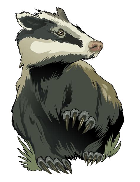 Badger Clipart Free Clip Art Library