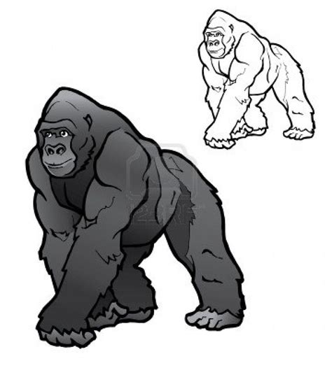 Silverback Gorilla Gorilla Illustration Gorillas Art Animal