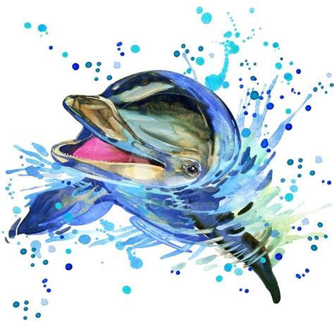 Dolphin Illustration With Splash Watercolor Textured Background Art