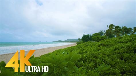 4k Nature Relax Video Oahu Beach Hawaii Proartinc