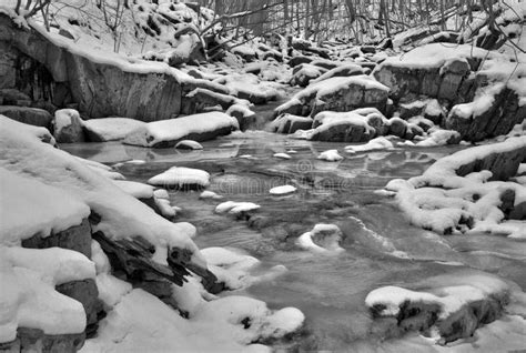 Frozen Stream Bed On A Snowy Winter Day Stock Photo Image Of Frost