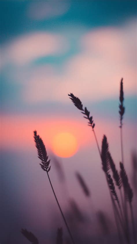 Sunset Iphone Wallpapers Free Download