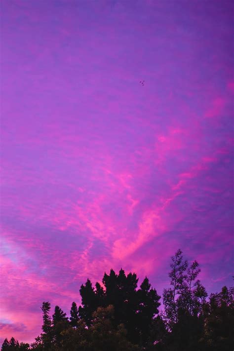 Hd Wallpaper Sky Sunset Clouds Pink Neon Purple Pastel Fading