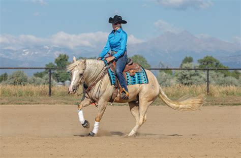 Western Lesson Reining Spins That Win Hoofpick Life Equestrian