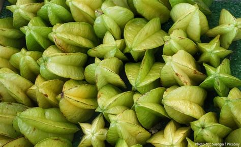 Interesting Facts About Star Fruits Just Fun Facts