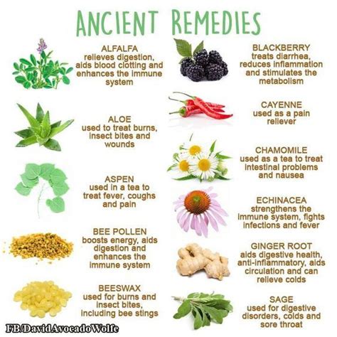 Home Natural Remedies In 2020 Natural Health Remedies Herbs For