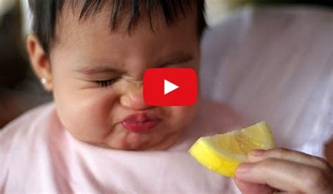 Babies Eating Lemon Face Compilation So Cute And Hilarious Must Watch Video