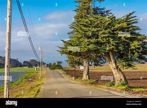 Road Leading To Sunset State Beach With Strawberry Fields And A