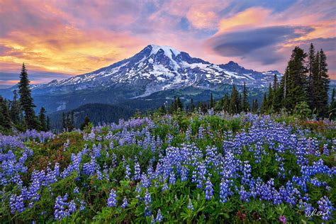 Washington State Nature And Landscape Photography Aaron Reed