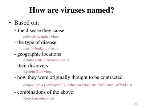 Ppt An Introduction To Viruses Powerpoint Presentation Free Download