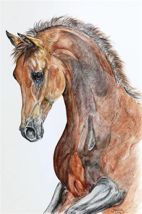 Pin By Mrs B On Equidae Horse Drawings Horses Horse Painting