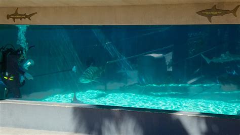 Aquarium Of The Pacific In Long Beach California Expedia