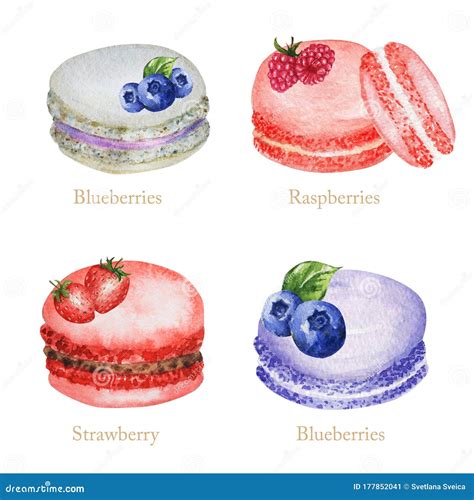 Hand Drawn Watercolor French Macaron Cakes Set Pastry Dessert Isolated