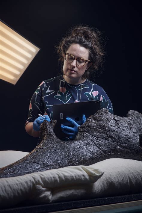 Triceratops Fate Of The Dinosaurs Opens At Melbourne Museum March 12 — Mamma Knows Melbourne