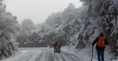 La primera nevada del año en veracruz. Cae nieve en 14 municipios de Chihuahua