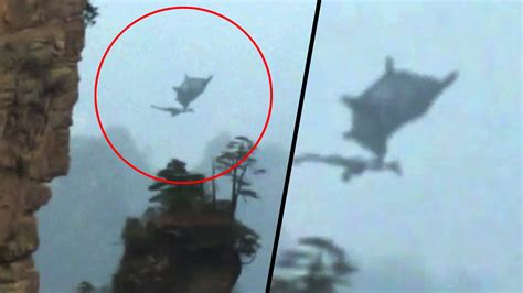 Mysterious Flying Dragon Filmed From China Is That Real Dragon