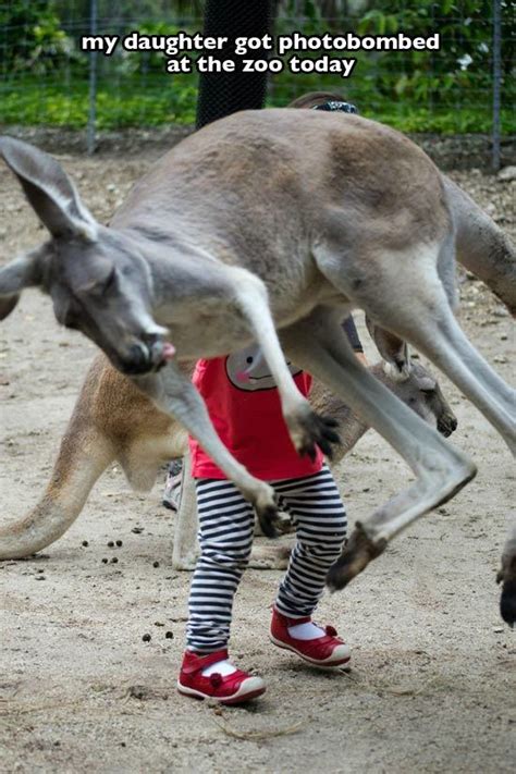 25 Of The Greatest Zoo Moments Caught On Camera