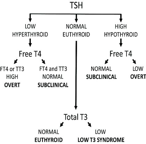 Commonly Defined Categories Of Thyroid Status Ft4 Free T4 Tsh