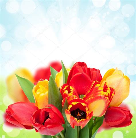 Ramo De Tulipanes Frescos Coloridos Fotografía De Stock © Karandaev