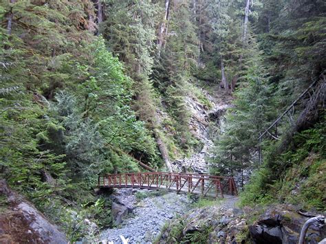 Seeking Ultra Skyline North Fork Quinault Loop Olympic National Park