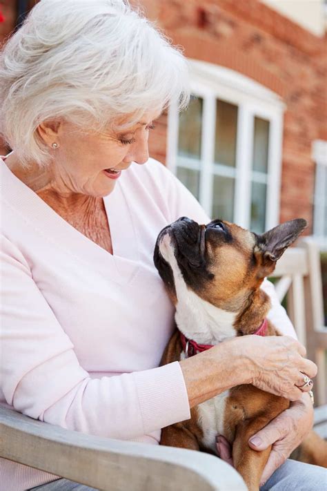 Therapy Dogs To Robot Seals How Pet Therapy Helps Seniors