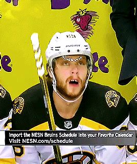 If there is a violation of the rules, please click the report button and leave a report, and also message the moderator team and report the problem. boston bruins gifs | WiffleGif