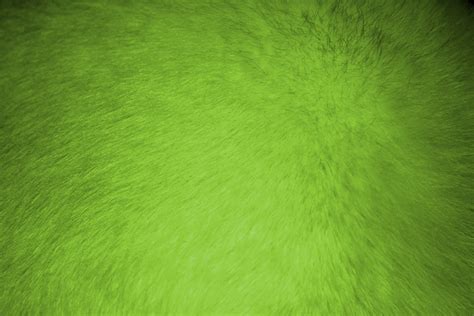 Lime Green Fur Texture Picture Free Photograph Photos Public Domain