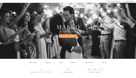 18 Excellent Wedding Photography Websites 2023 Colorlib