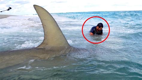 5 Giant Shark Attacks Caught On Camera Shark Attack Videos 🔥🔥🔥 Youtube