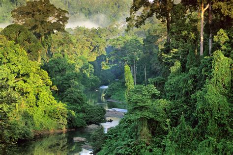 Hintergrundbilder Natur Landschaft National Geographic Bäume