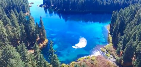 Americas Most Beautiful Lake Has A Sunken Forest Beneath Its Crystal