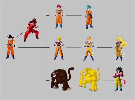 Flow Chart Of Saiyan Transformations As Displayed By Goku