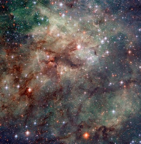 Tarantula Nebula 30 Doradus Ngc 2070 Constellation Guide