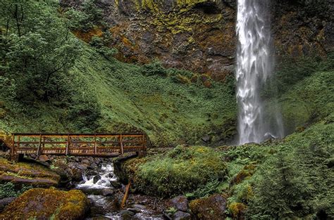 Elowah Falls Columbia River Gorge Oregon Brook Nature Elowah Falls