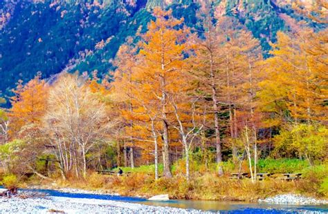 Experience Kamikochi In Autumn On A Guided Tour Snow Monkey Resorts