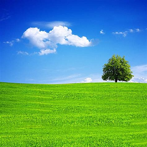 Blue Sky Aesthetic Grass Background Largest Wallpaper Portal