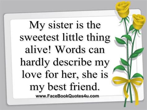 Love My Sister Quotes 09 Quotesbae