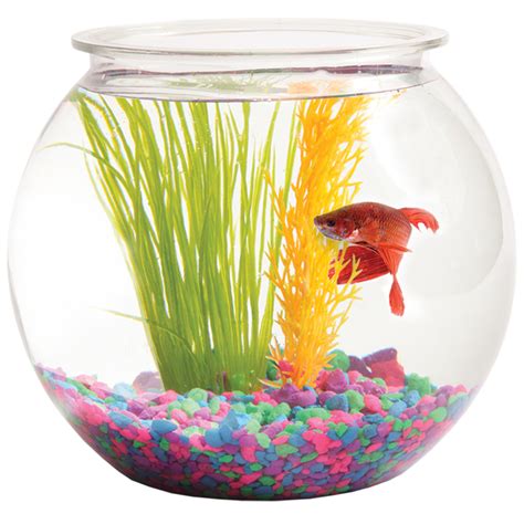 The fish bowl, petaling jaya: Fish Bowl 1-Gallon Bubble-Shape - Walmart.com - Walmart.com